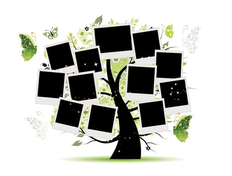 Family history